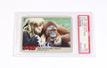 1981 Fleer Here's Bo! Hey Can You Keep A Secret #52 Bo Derek PSA 10