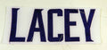 2013 Minnesota Vikings Jacob Lacey #26 Game Issued White Name Plate DP14851 - DP14851