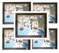 (5) Victory Fine Art Cam Newton Panthers Lithographs by Super Bowl Artist Rob Jackson - 4503201-BUNDLE