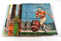 Lot of (14) Different 1969 Guilford College Football Programs