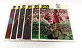 Lot of (6) Assorted 1974 Univ of Southern Mississippi College Football Programs