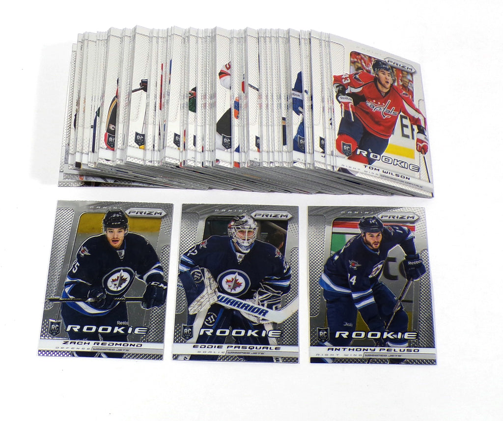 2013-14 Panini Prizm Hockey Rookies Set (201-300) 100 Different