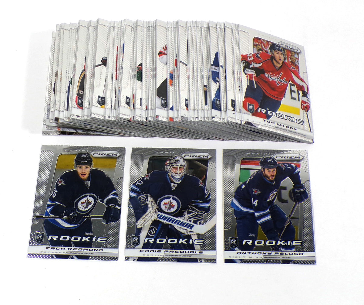 2013-14 Panini Prizm Hockey Rookies Set (201-300) 100 Different