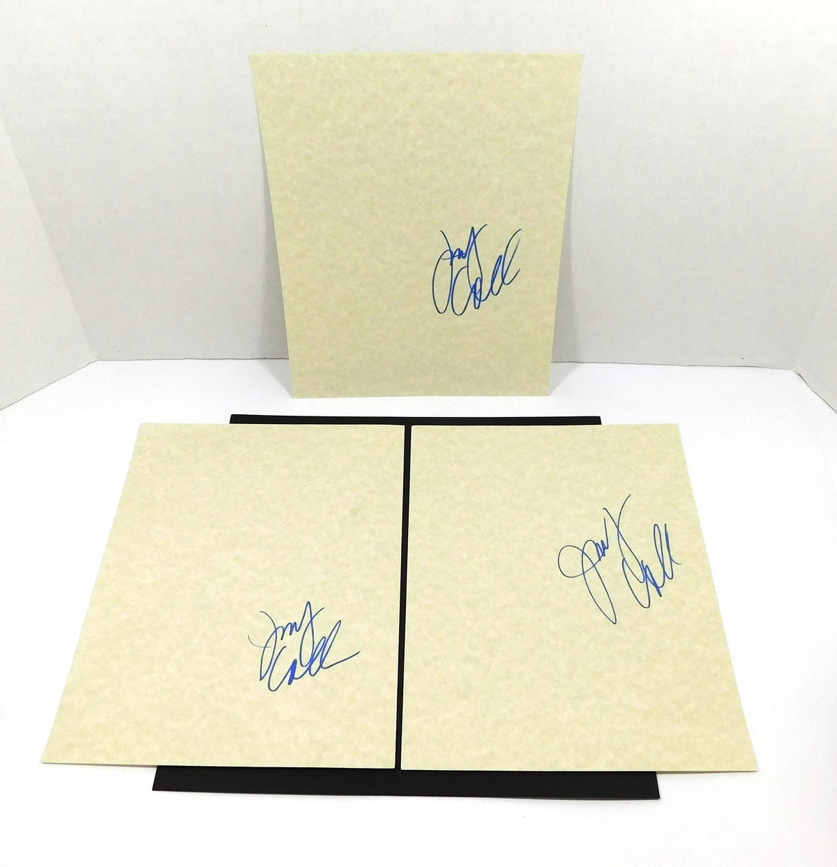 Lot of (3) Judy Collins Signed 8.5 x 11 Cardstock Sheets Musician Autos DA046804