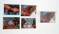 1993 Portfolio International Portfolio 1993 Sealed Cello Pack Promo Card Set (4)