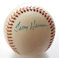Terry Harmon Signed Baseball Auto Autograph