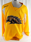 Western Michigan Broncos #2 Game Used Gold Practice Jersey Hockey 317