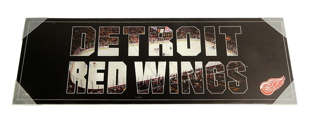 Detroit Red Wings Team Pride Canvas Print Poster Wall Art 36" x 12"