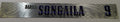 New Orleans Hornets Darius Songaila #9 Game Used Locker Room Nameplate