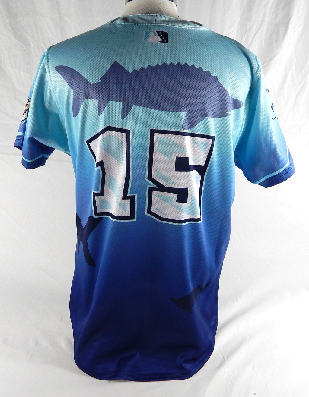 2024 Wisconsin Timber Rattlers #15 Game Used Blue Jersey Winnebago Shantymen 3 Pic2