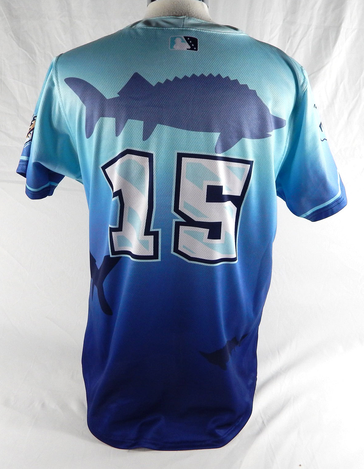2024 Wisconsin Timber Rattlers #15 Game Used Blue Jersey Winnebago Shantymen 3 Pic2