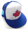 2018 Toronto Blue Jays Spring Training FL New Era 5950 Fitted Hat Cap Size 7