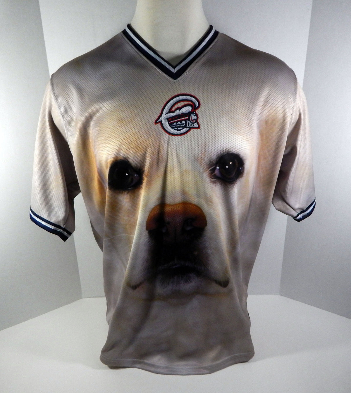 2017 Syracuse Chiefs Bengie Gonzalez #24 Game Used Sign Brown Dog Night Jersey Pic2