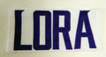 2014 Minnesota Vikings Erik Lora #14 Game Issued White Name Plate DP14918
