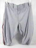 2018 Cleveland Indians Brandon Guyer #6 Game Issued Grey Pants Negro League 47 5