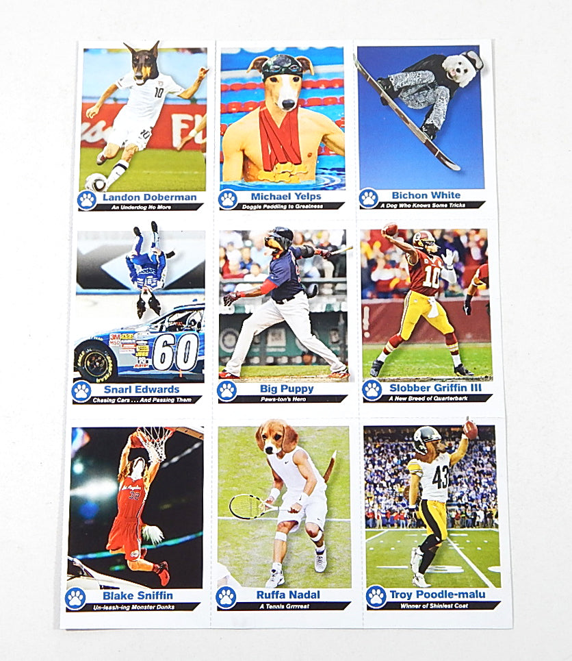 2013 Sports Illustrated for Kids 9-Card Sheet Dogs Phelps Yelps Bichon White