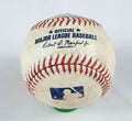 2023 Texas Rangers Nationals Game Used Baseball Dane Dunning Lane Thomas Foul 4