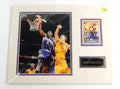 Amare Stoudamire Suns Matted Photo Card & Name Plate 11x14 Ideal For Framing