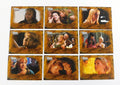 2003 The Quotable Xena Warrior Princess Words from the Bard Insert Set (B1-B9)