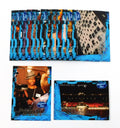 2005 Fleer American Idol Season 4 Behind the Scenes Trading Card Set (15)