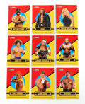 2006 Topps Heritage II WWE Magnets Wrestling Insert Set (9) Nm/Mt