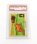 1959 Indian Trading Card Hunting a Buffalo #16 PSA 8 DF036642