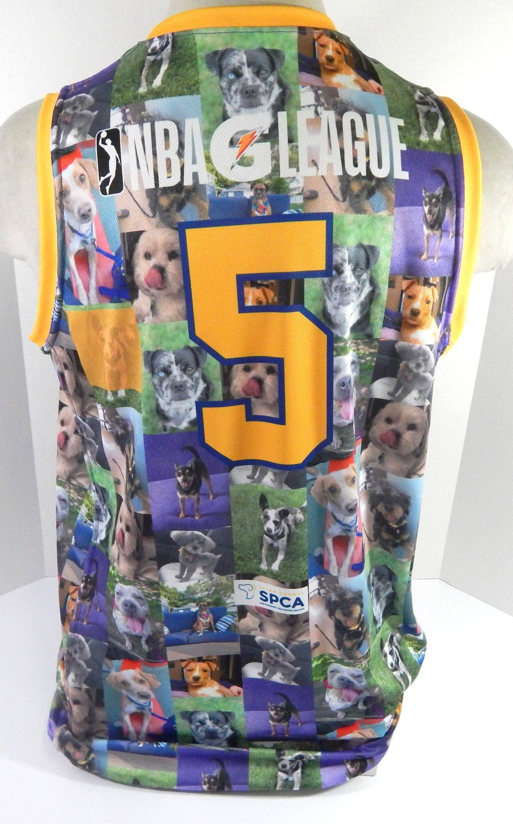 Fort Wayne Mad Ants #5 Game Issued Blue Jersey Hoops & Hounds Night L DP55854 - DP55854