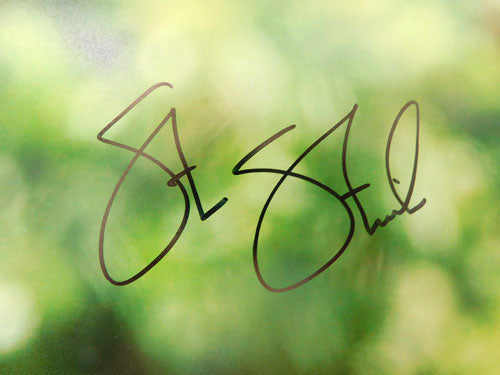 Steve Stricker Signed 16" x 20" Photo PGA Golf Auto Pic2