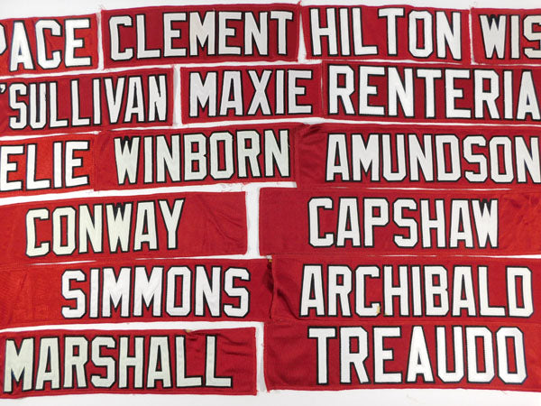 Lot of (16) Diff. Authentic San Francisco 49ers Team Issued Jersey Nameplates Pic2