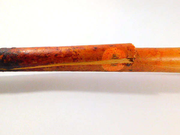 4-3-23 lIidemaro Vargas Bottom of 3rd Game-Used Bat #14 TBR @ Nationals COA Pic2